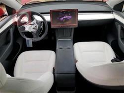 تسلا موديل Y